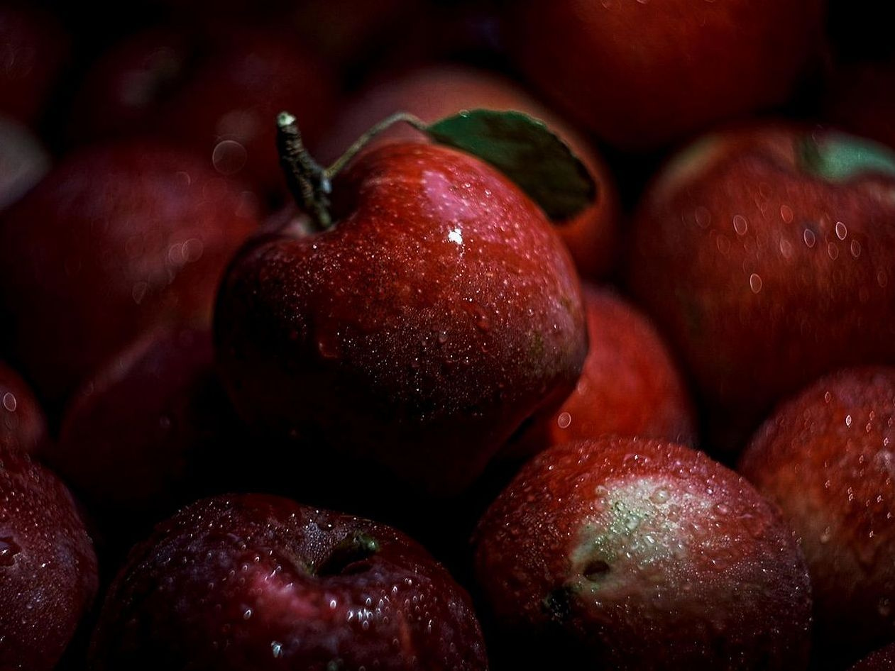 Fresh fruit expert