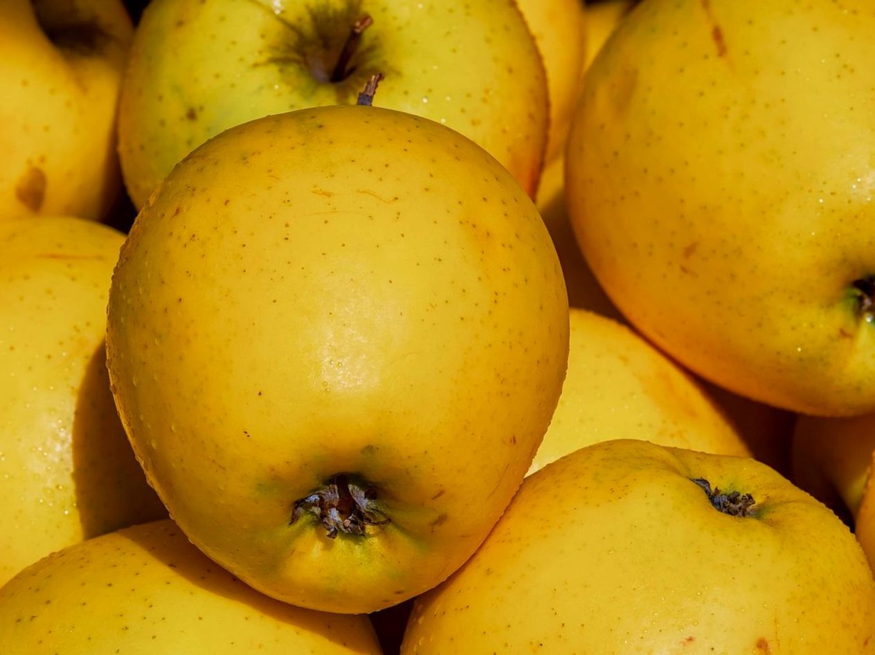 Next-Day Fruit Boxes