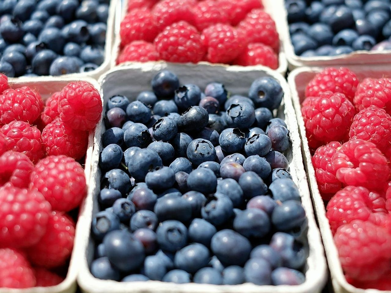 Fresh fruit expert