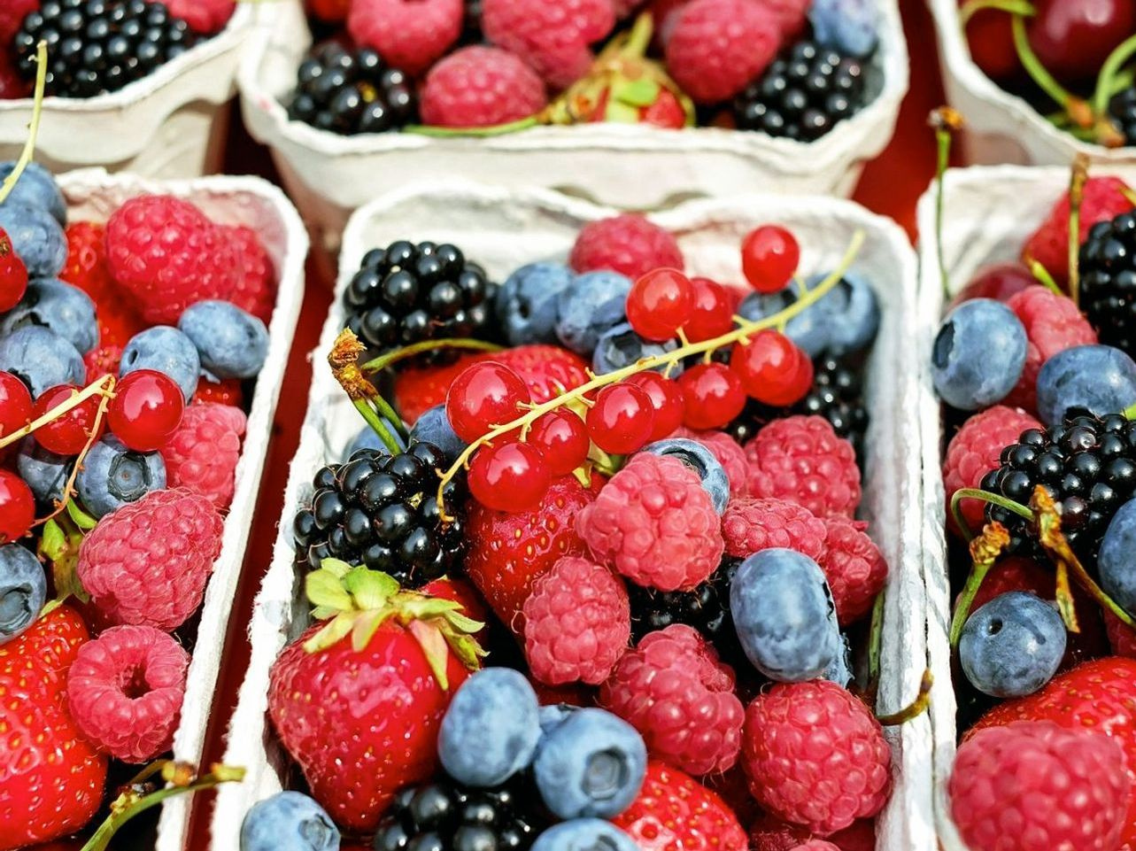 Premium Produce Arrives in 24 Hours