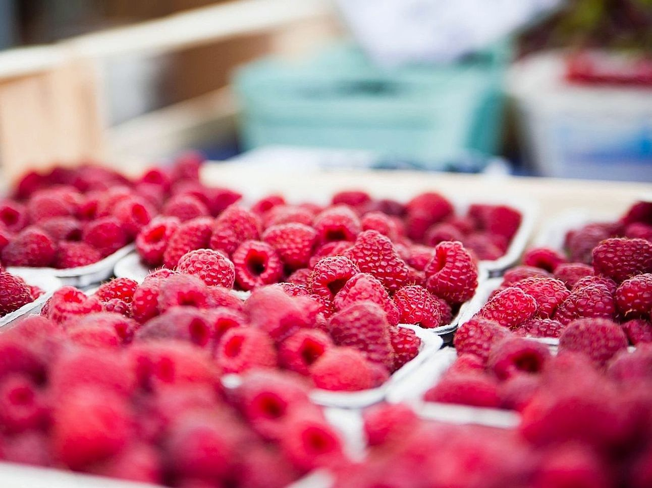 Cold-chain preserved freshness